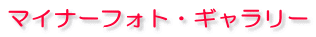 }Ci[tHgEM[ 