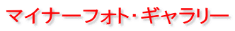 マイナーフォト・ギャラリー